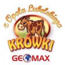 Geomax - sklep firmowy
